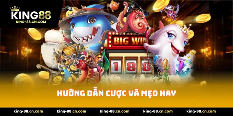 Hướng dẫn cược và mẹo hay